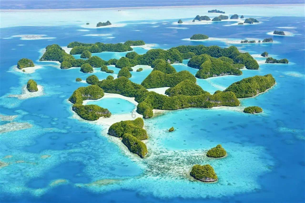卡丁车进校园,培养耀眼的未来之星|《童心总动员》本周精彩剧透
